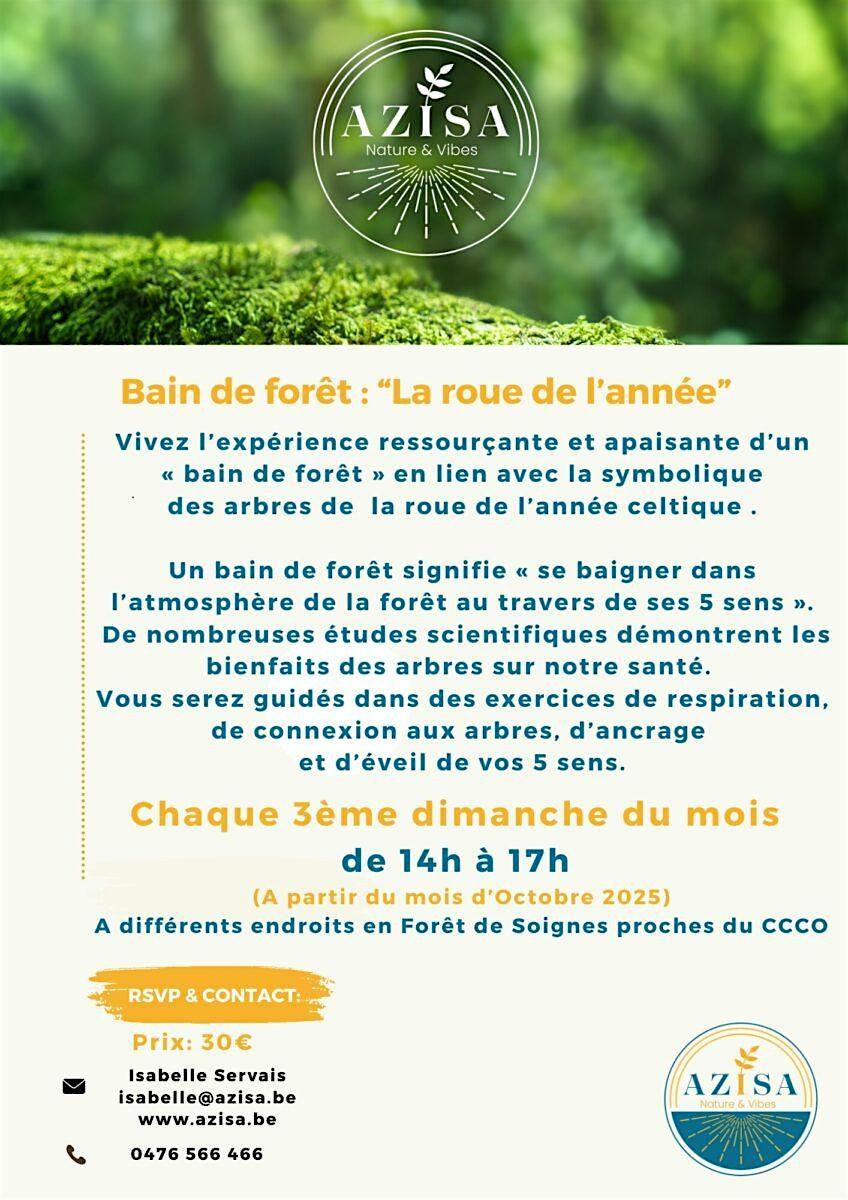 Bain de forêt « La Roue de l&rsquo;année »